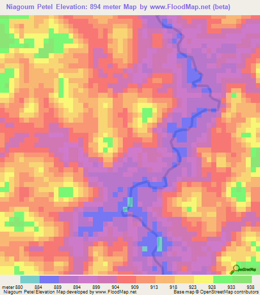 Niagoum Petel,Cameroon Elevation Map