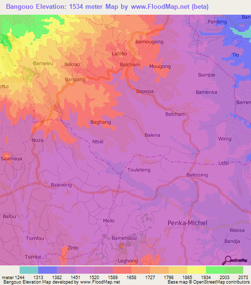 Bangouo,Cameroon Elevation Map