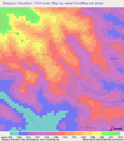 Bangouo,Cameroon Elevation Map