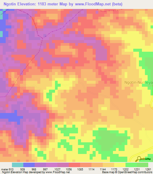 Ngotin,Cameroon Elevation Map