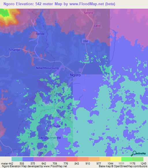 Ngoro,Cameroon Elevation Map