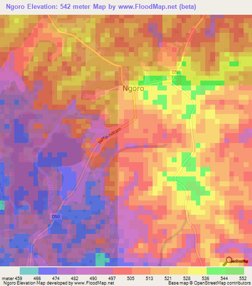 Ngoro,Cameroon Elevation Map