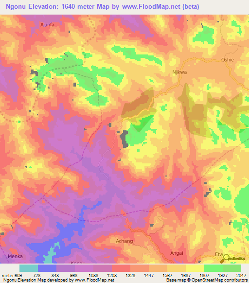 Ngonu,Cameroon Elevation Map