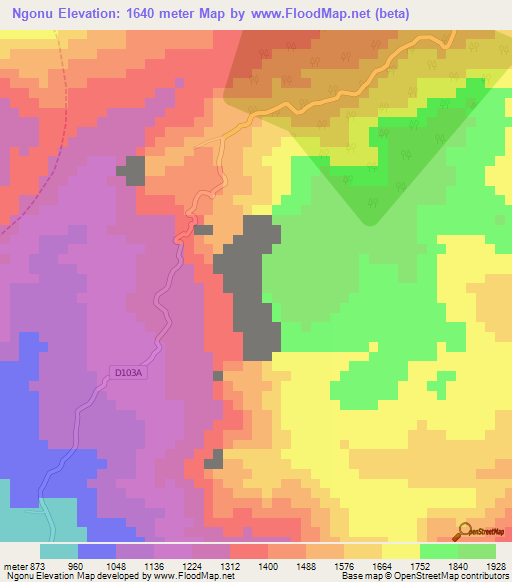 Ngonu,Cameroon Elevation Map