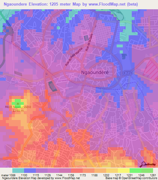 Ngaoundere,Cameroon Elevation Map