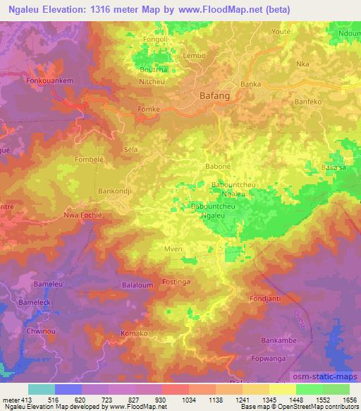 Ngaleu,Cameroon Elevation Map