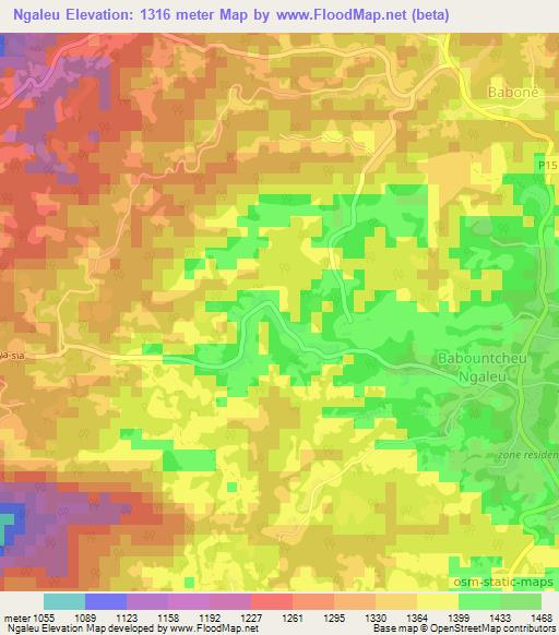 Ngaleu,Cameroon Elevation Map