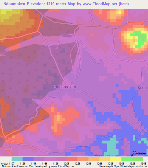 Ndoumnken,Cameroon Elevation Map