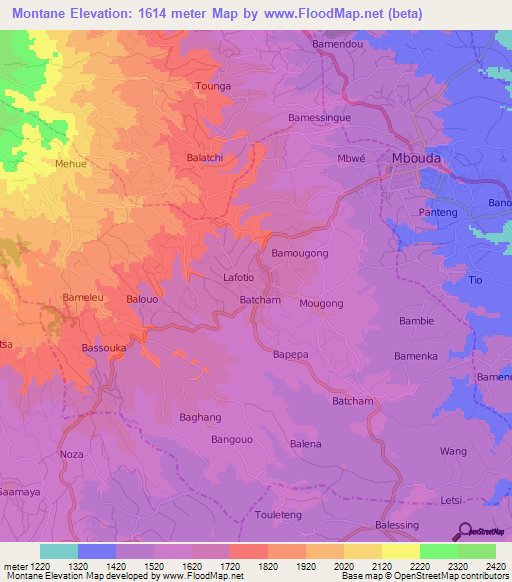 Montane,Cameroon Elevation Map