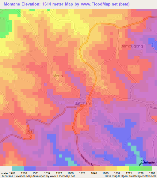 Montane,Cameroon Elevation Map