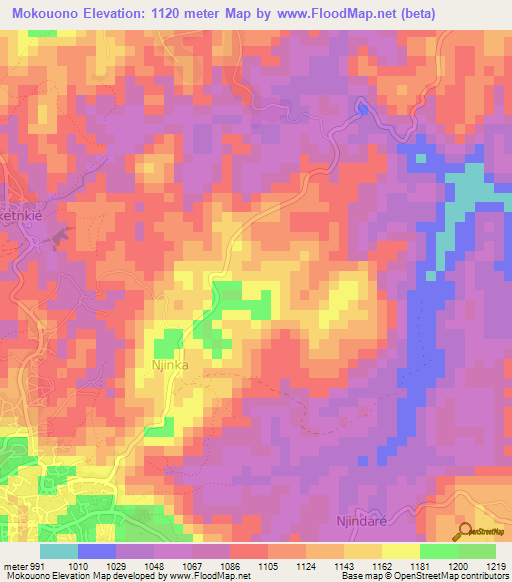 Mokouono,Cameroon Elevation Map