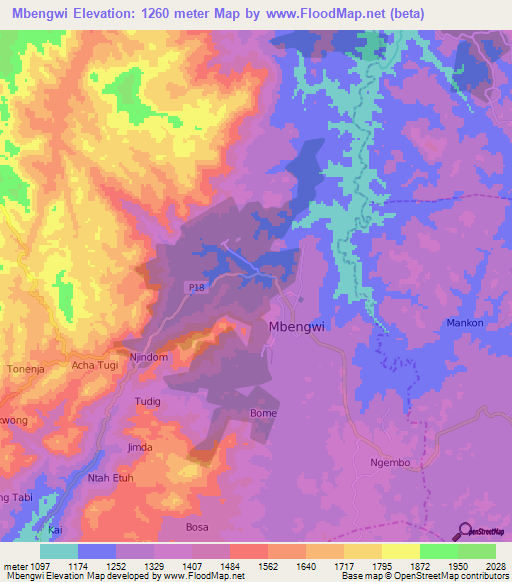 Mbengwi,Cameroon Elevation Map