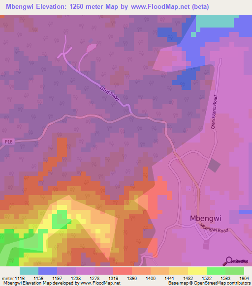 Mbengwi,Cameroon Elevation Map