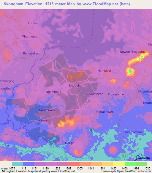 Nkougham,Cameroon Elevation Map