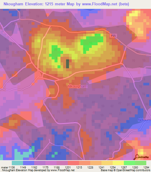 Nkougham,Cameroon Elevation Map