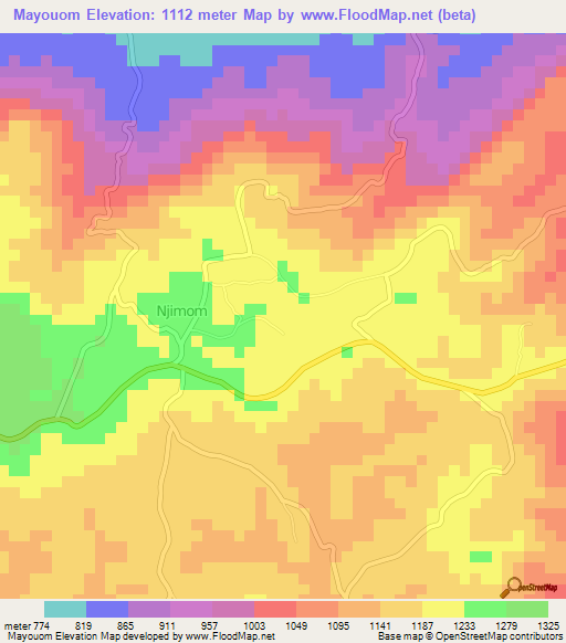 Mayouom,Cameroon Elevation Map