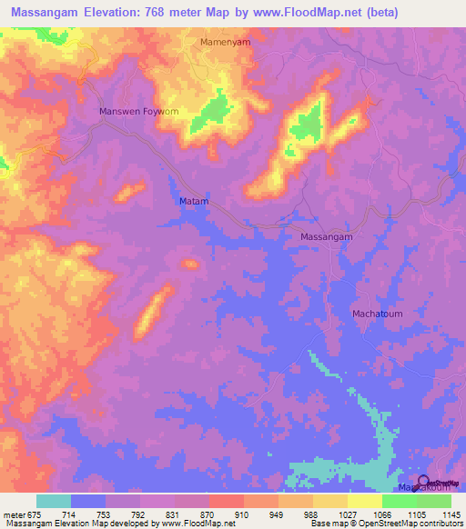 Massangam,Cameroon Elevation Map