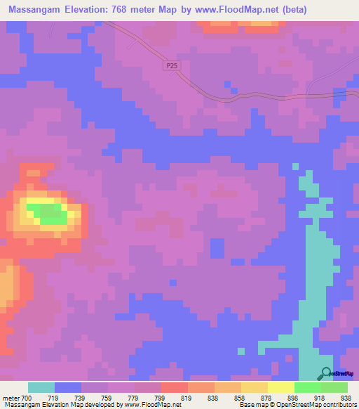 Massangam,Cameroon Elevation Map