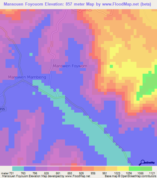 Mansouen Foyouom,Cameroon Elevation Map