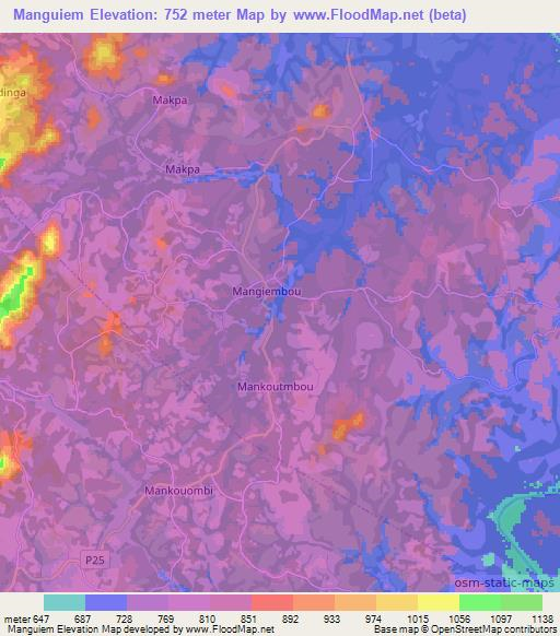 Manguiem,Cameroon Elevation Map