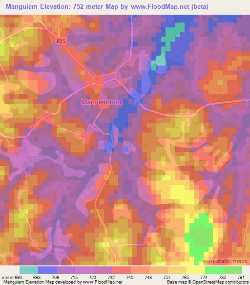 Manguiem,Cameroon Elevation Map