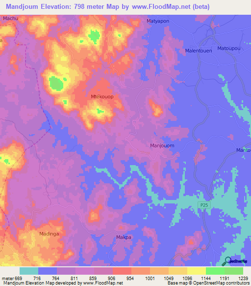 Mandjoum,Cameroon Elevation Map