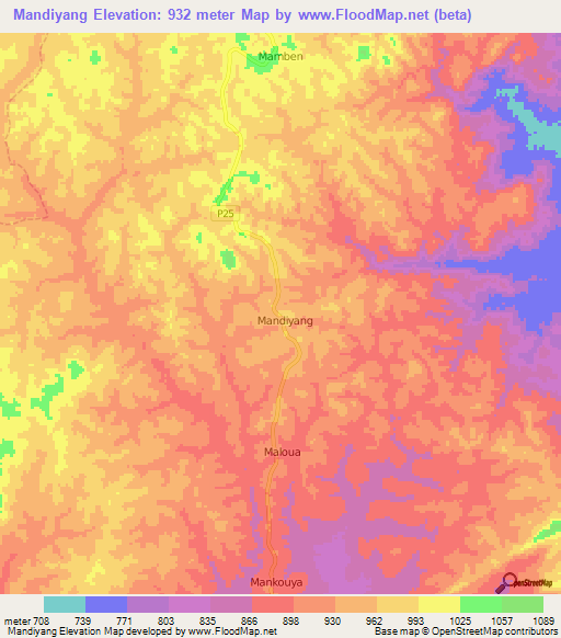 Mandiyang,Cameroon Elevation Map