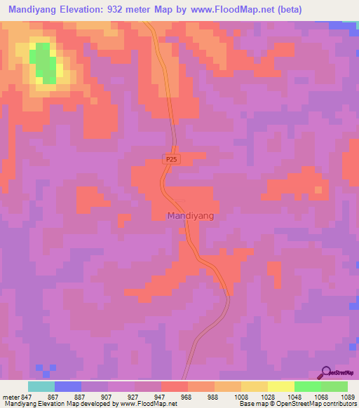 Mandiyang,Cameroon Elevation Map