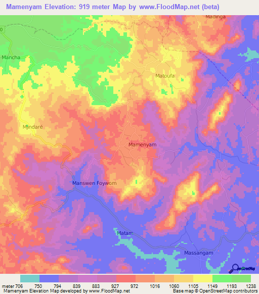 Mamenyam,Cameroon Elevation Map