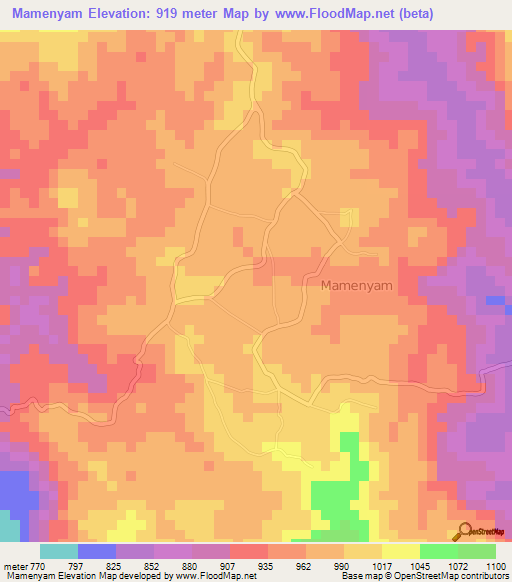 Mamenyam,Cameroon Elevation Map