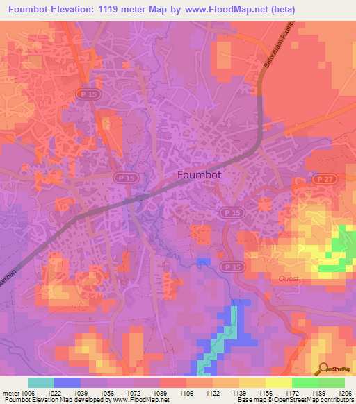 Foumbot,Cameroon Elevation Map