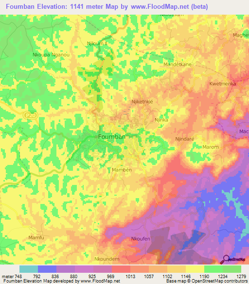 Foumban,Cameroon Elevation Map