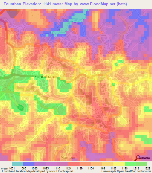 Foumban,Cameroon Elevation Map