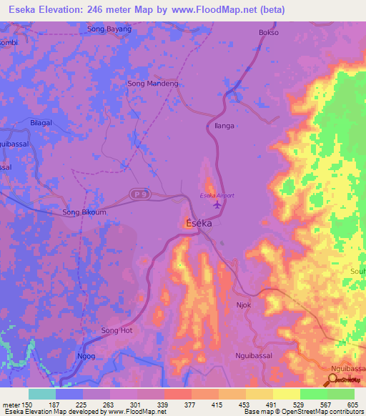 Eseka,Cameroon Elevation Map