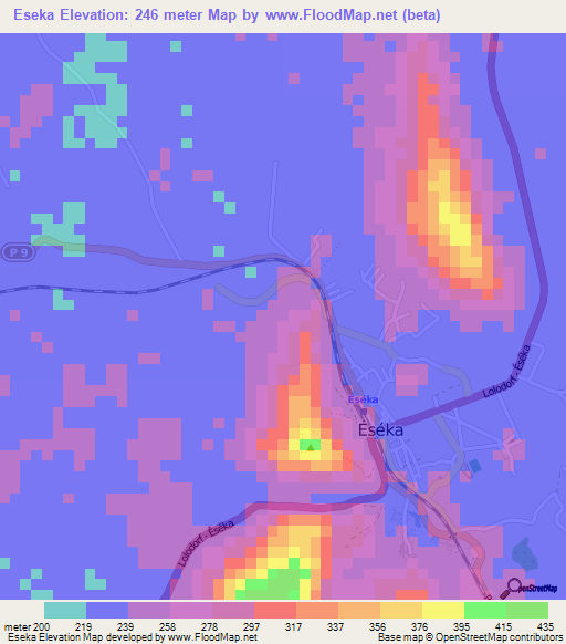 Eseka,Cameroon Elevation Map