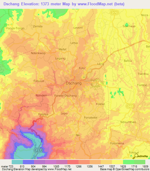 Dschang,Cameroon Elevation Map