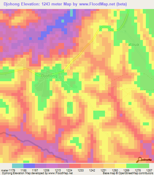 Djohong,Cameroon Elevation Map