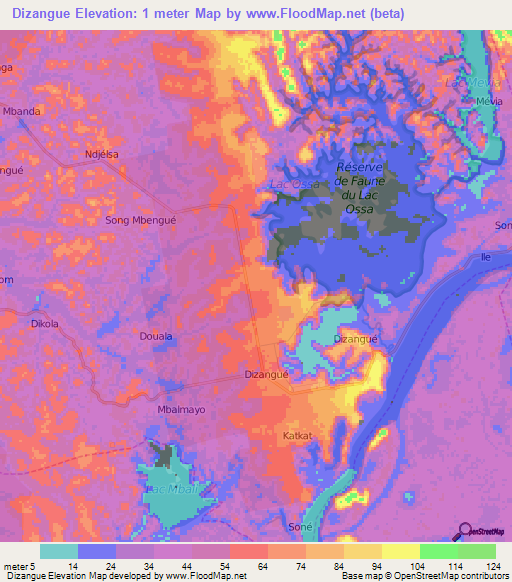 Dizangue,Cameroon Elevation Map