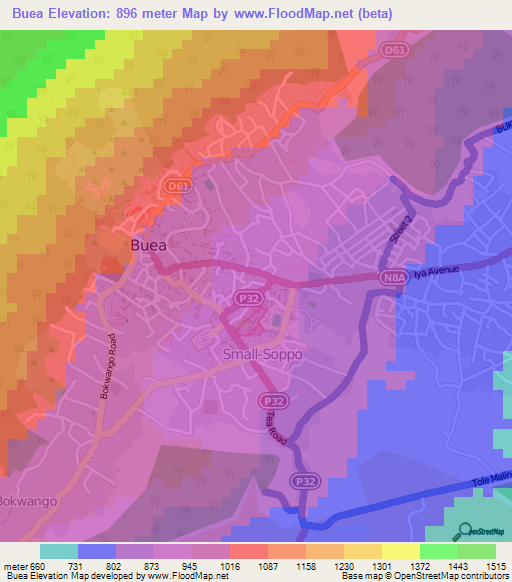 Buea,Cameroon Elevation Map