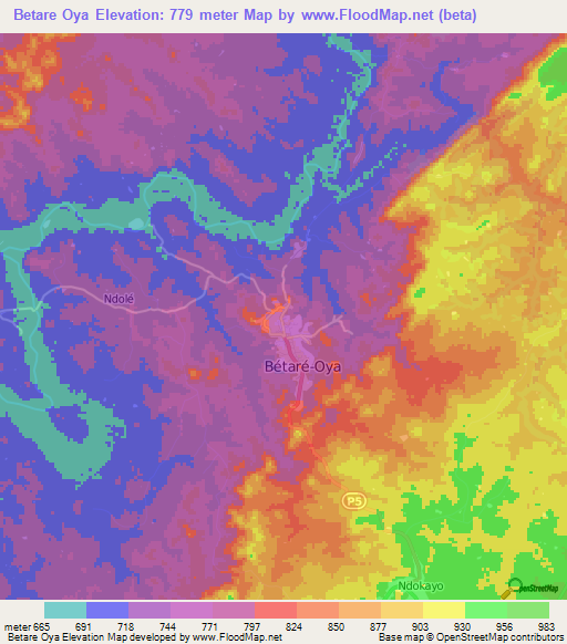 Betare Oya,Cameroon Elevation Map