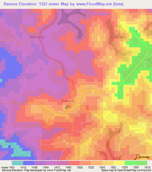 Bansoa,Cameroon Elevation Map