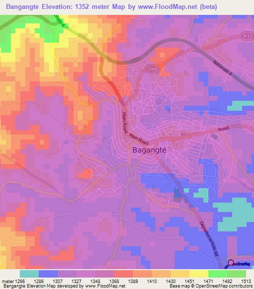 Bangangte,Cameroon Elevation Map