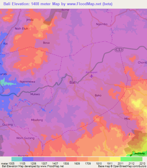 Bali,Cameroon Elevation Map