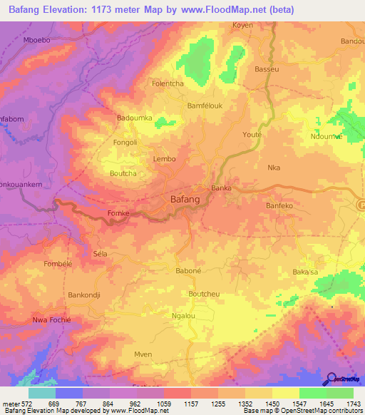 Bafang,Cameroon Elevation Map