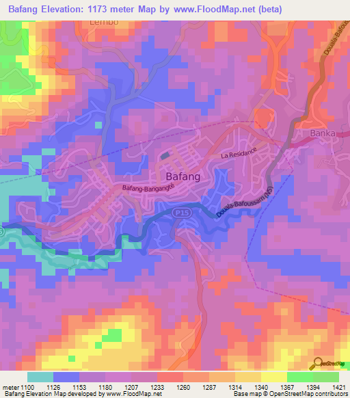 Bafang,Cameroon Elevation Map