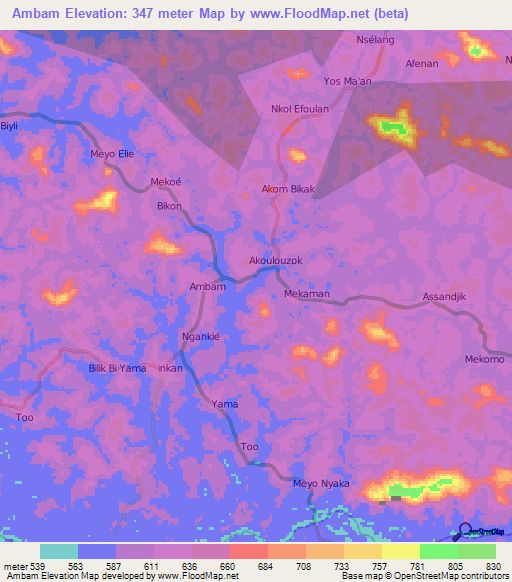 Ambam,Cameroon Elevation Map