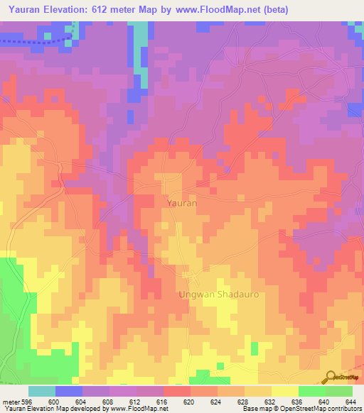 Yauran,Nigeria Elevation Map