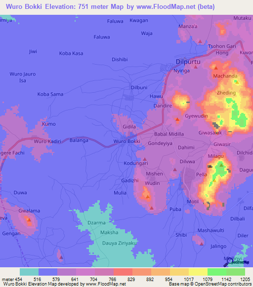 Wuro Bokki,Nigeria Elevation Map
