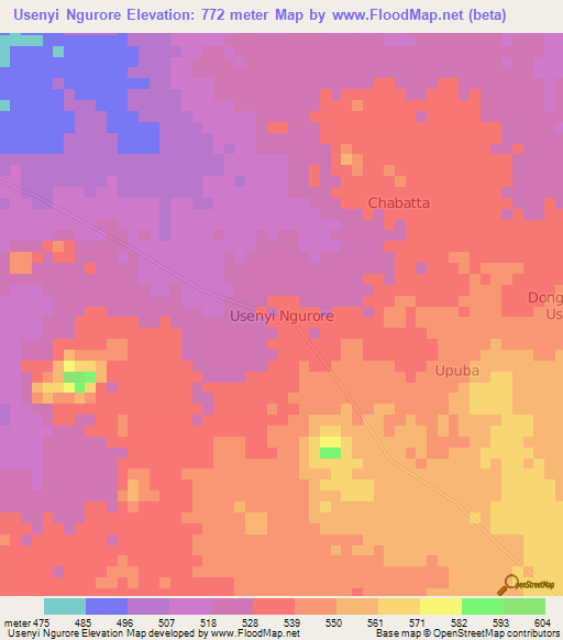 Usenyi Ngurore,Nigeria Elevation Map