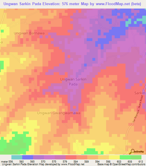 Ungwan Sarkin Pada,Nigeria Elevation Map